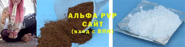 гашик Новозыбков